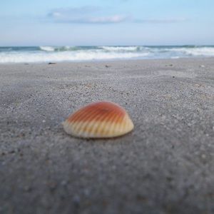 Meet your Posher, Lee